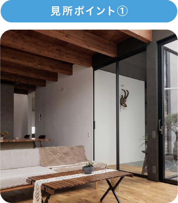 見所ポイント①